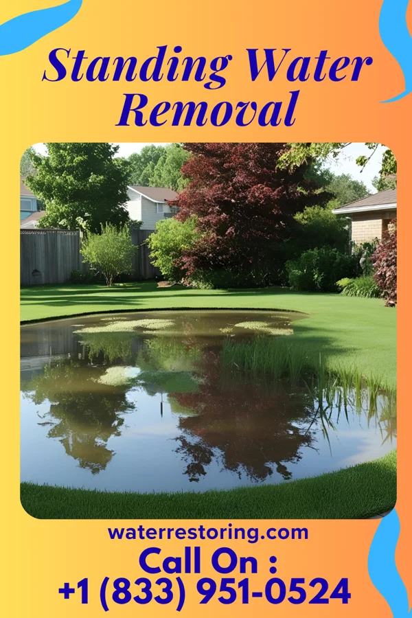 Standing Water Removal in Barling, AR